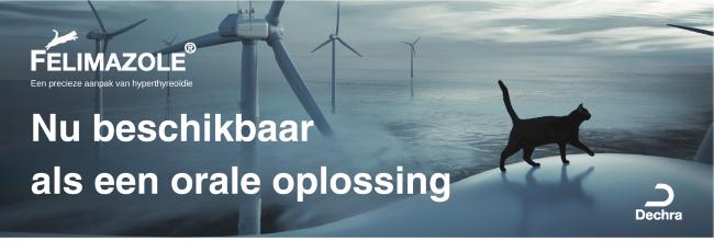 Felimazole - nu beschikbaar als orale oplossing