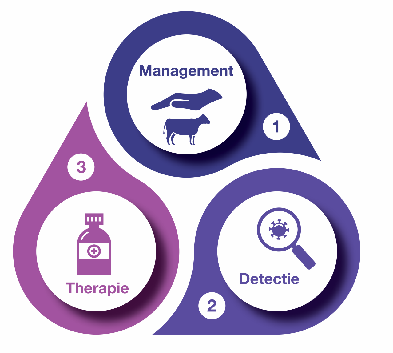 Internal medicines in Cattle - Dechra's integrated approach