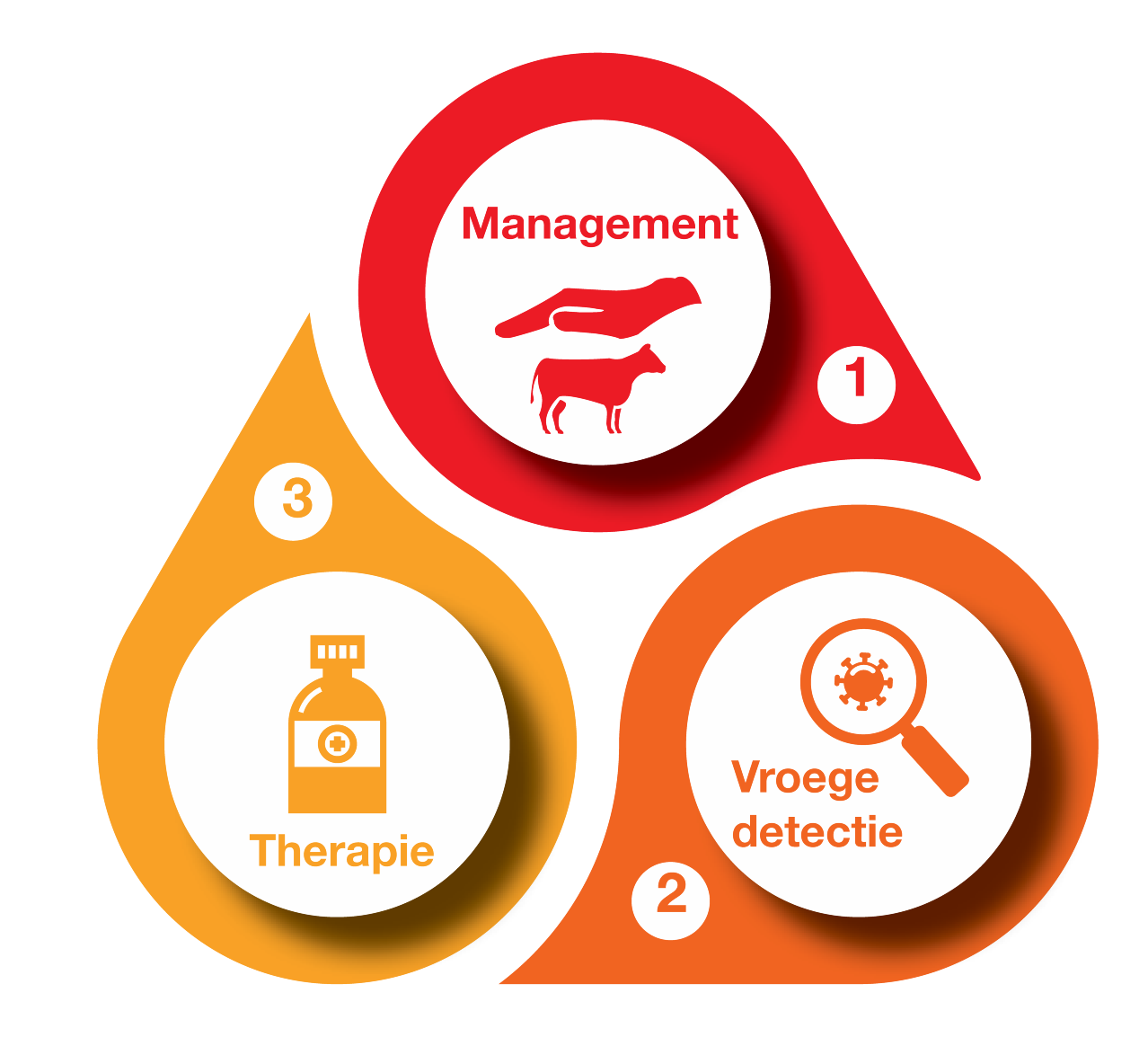 Pain management in Cattle - Dechra's integrated approach